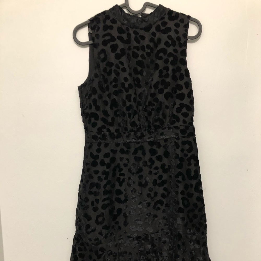 Ann Taylor Dress